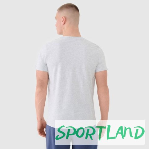 Koszulka 4F M 4FWMM00TTSHM2256S 27M L Koszulka 4F M 4FWMM00TTSHM2256S 27M L