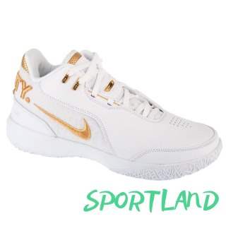 Buty Nike LeBron NXXT Gen AMPD FJ1566-103 45