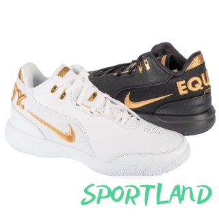 Buty Nike LeBron NXXT Gen AMPD FJ1566-103 43