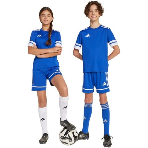 Spodenki adidas Squadra 25 Jr JN5455 152cm
