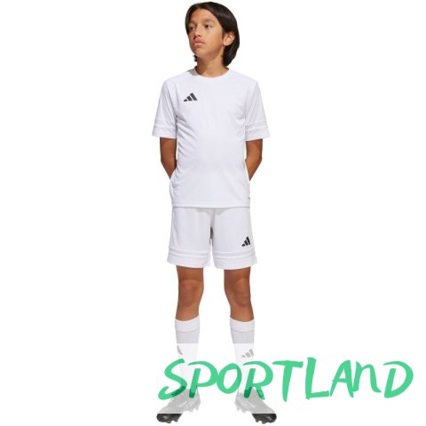 Spodenki adidas Squadra 25 Jr JJ2423 116 cm Spodenki adidas Squadra 25 Jr JJ2423 116 cm
