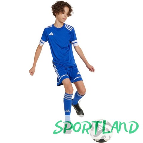 Spodenki adidas Squadra 25 Jr JN5455 116 cm