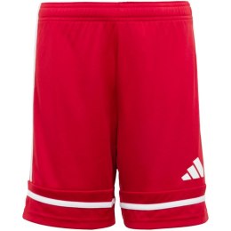 Spodenki adidas Squadra 25 Jr JN5456 116