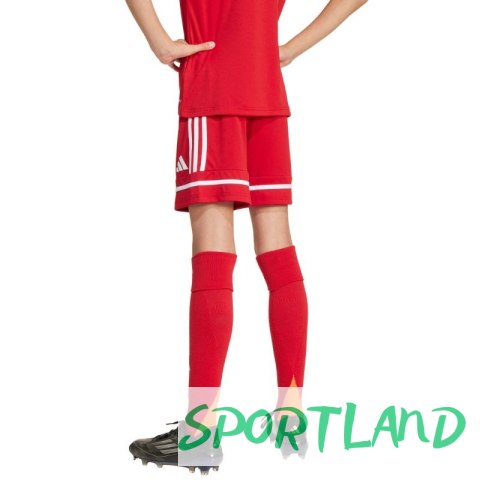 Spodenki adidas Squadra 25 Jr JN5456 116
