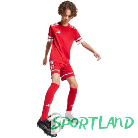 Spodenki adidas Squadra 25 Jr JN5456 116