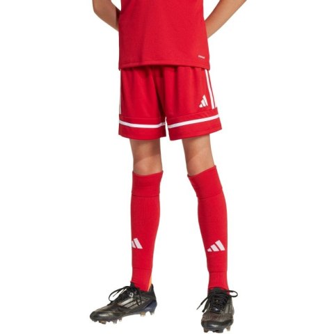 Spodenki adidas Squadra 25 Jr JN5456 140