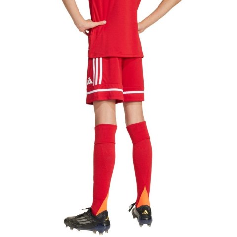 Spodenki adidas Squadra 25 Jr JN5456 140