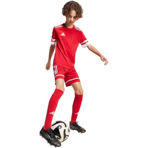 Spodenki adidas Squadra 25 Jr JN5456 140