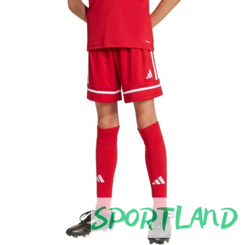 Spodenki adidas Squadra 25 Jr JN5456 152 Spodenki adidas Squadra 25 Jr JN5456 152