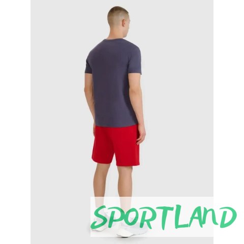 Spodenki 4F M 4FWMM00TSHOM543-62S L Spodenki 4F M 4FWMM00TSHOM543-62S L