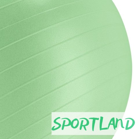 Piłka gimnastyczna Spokey Fitball 55cm SPK-943624 55 CM Piłka gimnastyczna Spokey Fitball 55cm SPK-943624 55 CM