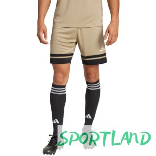 Spodenki adidas Squadra 25 M JP3403 S