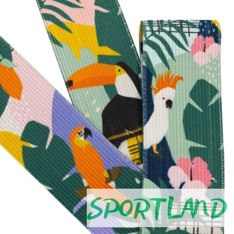 Zestaw gum treningowych Spokey Home Jungle SPK-941536 N/A Zestaw gum treningowych Spokey Home Jungle SPK-941536 N/A