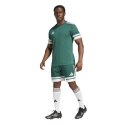 Spodenki adidas Squadra 25 M JH3411 L