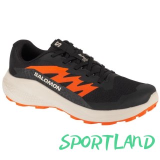 Buty do biegania Salomon Alphaglide M L47801100 44 2/3