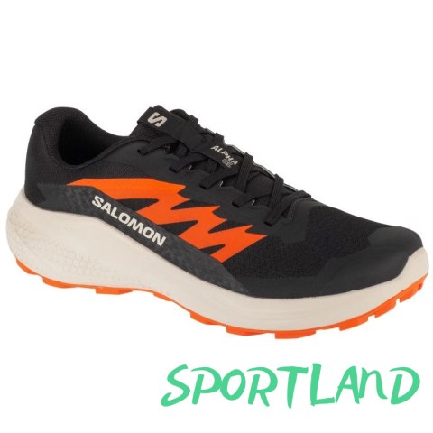 Buty do biegania Salomon Alphaglide M L47801100 44 2/3 Buty do biegania Salomon Alphaglide M L47801100 44 2/3