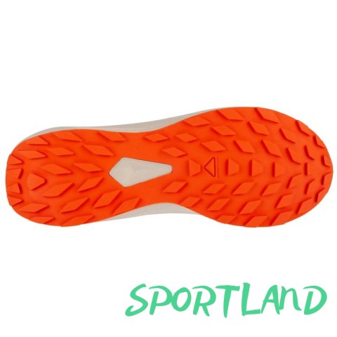 Buty do biegania Salomon Alphaglide M L47801100 44 2/3 Buty do biegania Salomon Alphaglide M L47801100 44 2/3