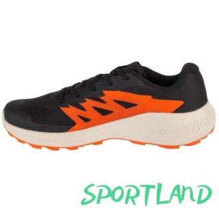 Buty do biegania Salomon Alphaglide M L47801100 44