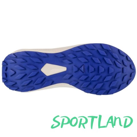 Buty do biegania Salomon Alphaglide W L47801800 40 Buty do biegania Salomon Alphaglide W L47801800 40