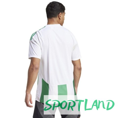 Koszulka adidas Striped 24 JSY M IW2148 XXL Koszulka adidas Striped 24 JSY M IW2148 XXL