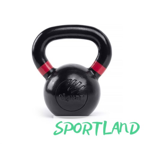 Odważnik tiguar kettlebell Raw V2 12kg TI-KB0012RV2 N/A