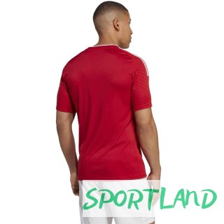 Koszulka adidas Campeon 23 Jersey M HR2622 M