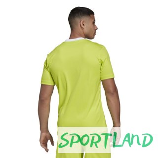 Koszulka adidas Entrada 22 M HC5077 S (173cm)