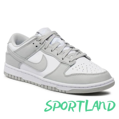 Buty Nike Dunk Low Retro M DD1391-103 41 Buty Nike Dunk Low Retro M DD1391-103 41