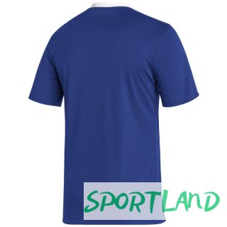 Koszulka adidas Entrada 22 JSY M HG6283 XS