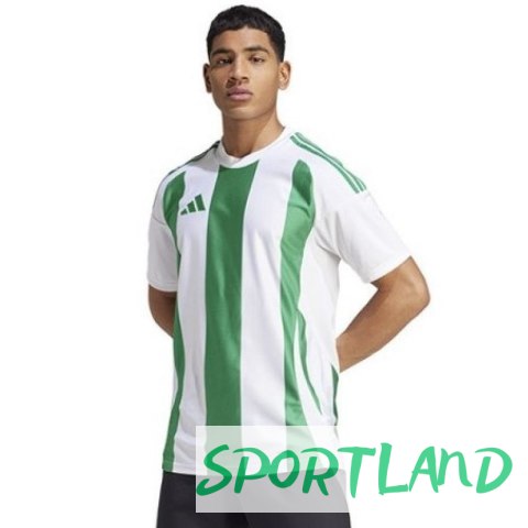 Koszulka adidas Striped 24 JSY M IW2148 L Koszulka adidas Striped 24 JSY M IW2148 L