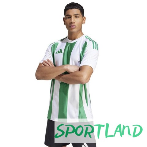 Koszulka adidas Striped 24 JSY M IW2148 L Koszulka adidas Striped 24 JSY M IW2148 L