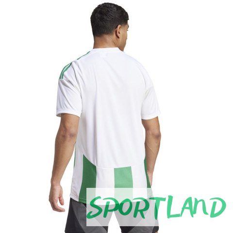 Koszulka adidas Striped 24 JSY M IW2148 L Koszulka adidas Striped 24 JSY M IW2148 L
