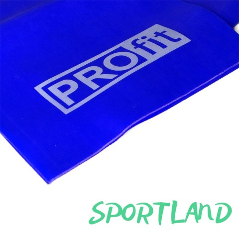 GUMA FITNESS PROFIT LONG MEDIUM 200x15x0,45cm niebieska DK 2227 N/A GUMA FITNESS PROFIT LONG MEDIUM 200x15x0,45cm niebieska DK 2227 N/A