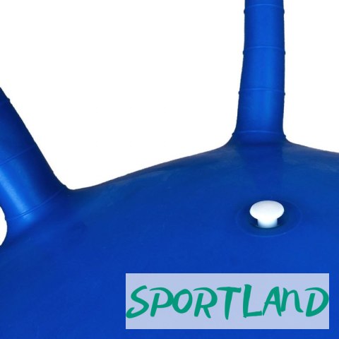 Piłka do skakania 45cm PROFIT DK2103 N/A