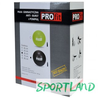 Piłka gimnastyczna PROfit 55cm z pompką DK2102 N/A