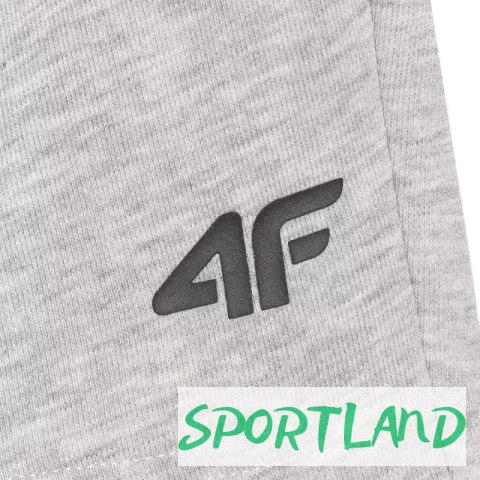 Spodenki 4F CAS M543 M 4FWMM00TSHOM543 27M 2 XL Spodenki 4F CAS M543 M 4FWMM00TSHOM543 27M 2 XL