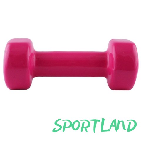 Ciężarek żeliwny pokryty winylem 1,5kg 17023 17-47-003 N/A Ciężarek żeliwny pokryty winylem 1,5kg 17023 17-47-003 N/A