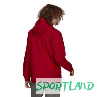 Kurtka adidas Entrada 22 All-weather M HG6299 S (173cm)