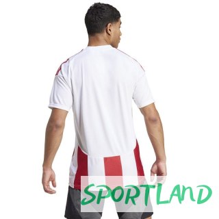 Koszulka adidas Striped 24 JSY M IW2142 XS