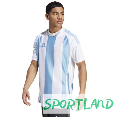 Koszulka adidas Striped 24 JSY M IW4555 S Koszulka adidas Striped 24 JSY M IW4555 S