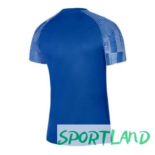 Koszulka Nike Dri-Fit Academy SS M DH8031-463 XXL (193cm)