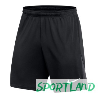 Spodenki Nike Dri-FIT Academy Pro M DH9236-014 XL (188cm)