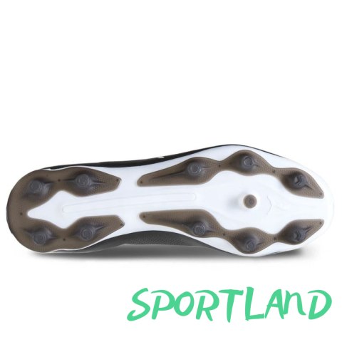 Buty piłkarskie Puma King Pro FG/AG M 107566-01 40