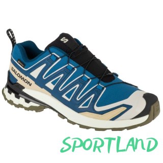 Buty do biegania Salomon XA Pro 3D v9 GTX M L47817400 46 2/3