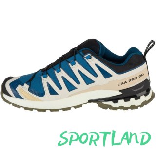 Buty do biegania Salomon XA Pro 3D v9 GTX M L47817400 48