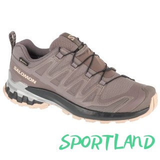 Buty do biegania Salomon XA Pro 3D v9 GTX W L47744500 38