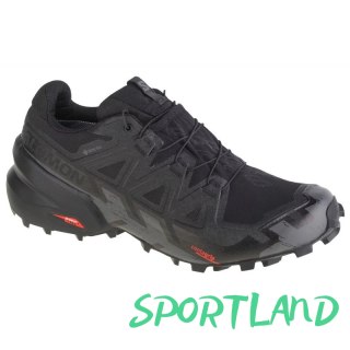Buty do biegania Salomon Speedcross 6 GTX M 417386 46 2/3