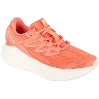 Buty do biegania Salomon Aero Glide 3 W L47810700 38