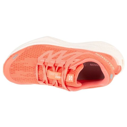 Buty do biegania Salomon Aero Glide 3 W L47810700 38