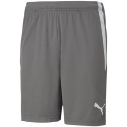 Spodenki Puma teamLIGA M 704924 13 L